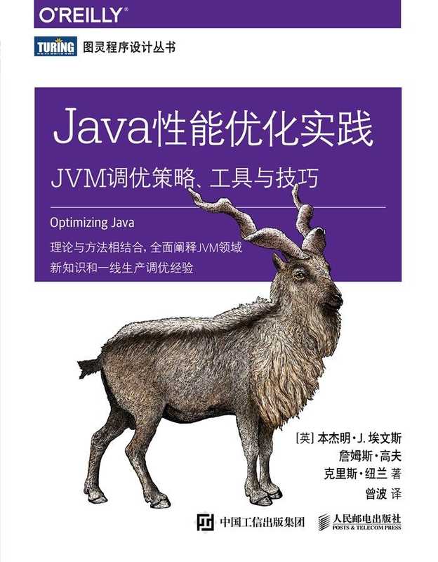 Java性能优化实践：JVM调优策略、工具与技巧 (本杰明&middot;J  埃文斯  詹姆斯&middot;高夫  克里斯&middot;纽兰)