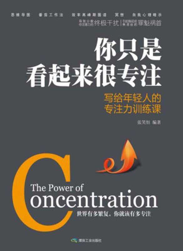 你只是看起来很专注（张笑恒）（煤炭工业出版社 2016）