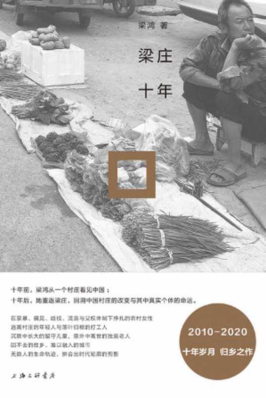 梁庄十年（从失去声音的农村女性到返乡的打工者 展现急速变化时代下中国村庄的变迁 理想国出品）（梁鸿 [梁鸿]）（2020）