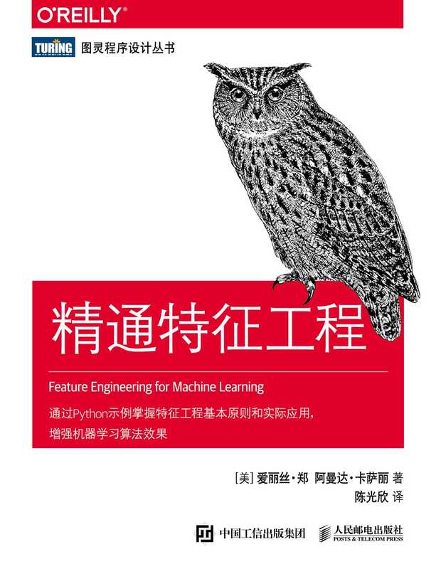 [图灵程序设计丛书]精通特征工程【文字版】（爱丽丝&bull;郑    阿曼达&bull;卡萨丽）