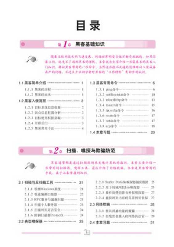 黑客入门新手特训（LI XING GONG ZUO SHI）（2008）