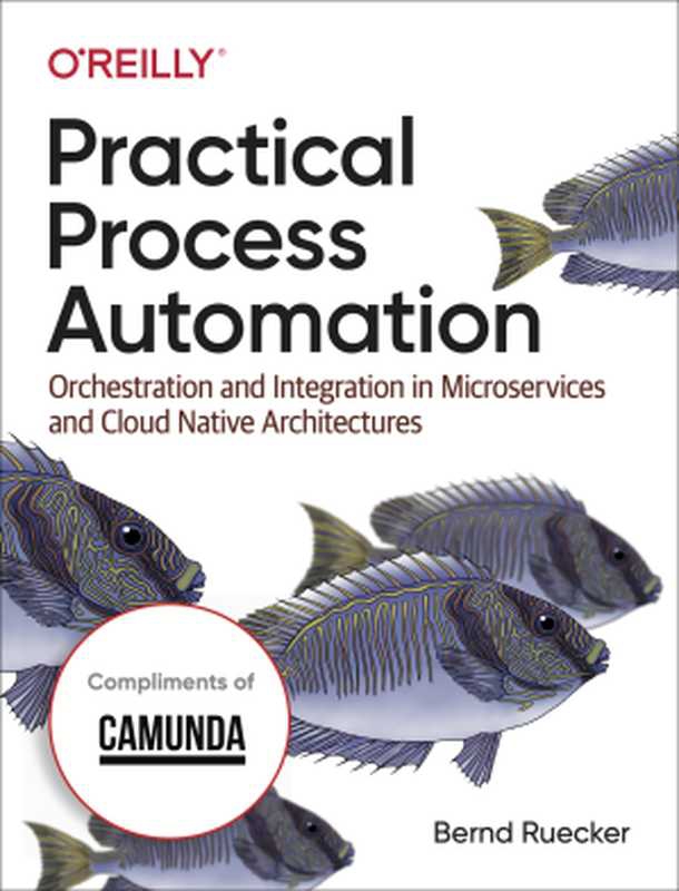 Practical Process Automation（Bernd Ruecker [Bernd Ruecker]）（O&rsquo;Reilly Media， Inc. 2021）