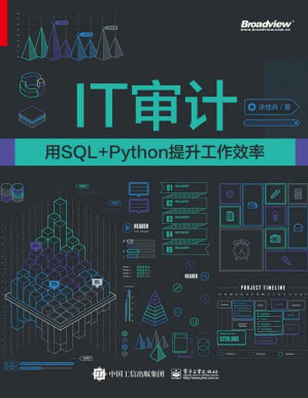 IT审计：用SQL+Python提升工作效率（涂佳兵）（电子工业出版社 2022）