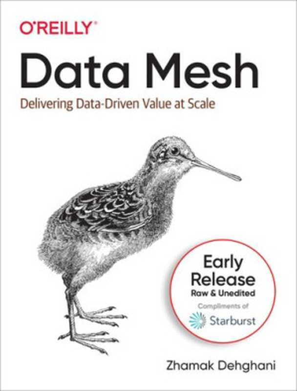 Data Mesh： Delivering Data-Driven Value at Scale (Early Release)（Zhamak Dehghani）（O’Reilly Media 2022）