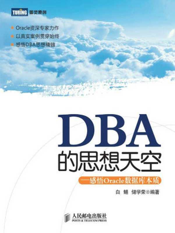 DBA的思想天空 ：感悟Oracle数据库本质（白鳝，储学荣）（人民邮电出版社 2012）