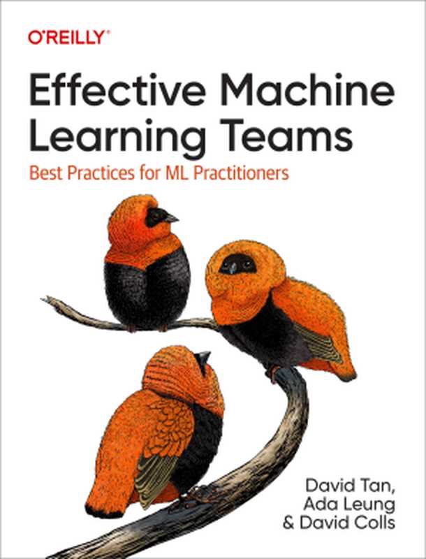 Effective Machine Learning Teams（David Tan， Ada Leung， David Colls）（O&rsquo;Reilly Media 2024）