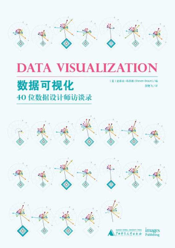 数据可视化（(美)史蒂文&middot;布劳恩）（2017）