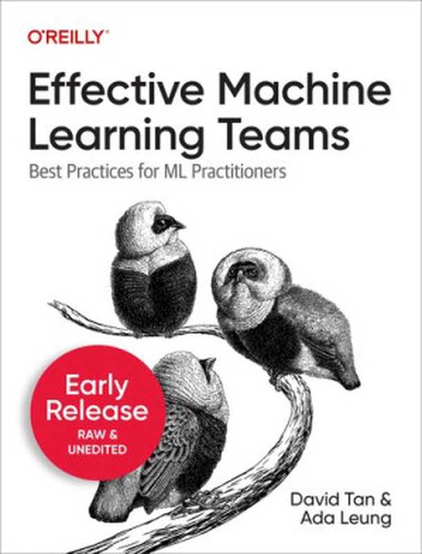 Effective Machine Learning Teams（David Tan， Ada Leung）（O&rsquo;Reilly Media， Inc. 2023）