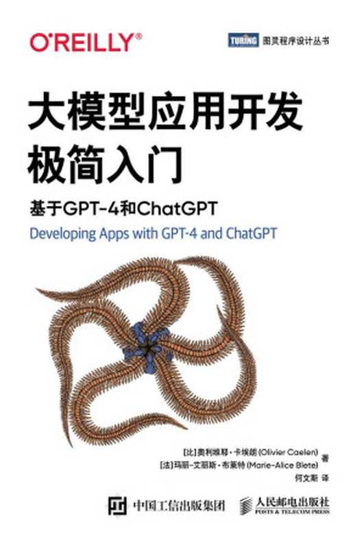 大模型应用开发极简入门：基于GPT-4和ChatGPT（奥利维耶&middot;卡埃朗）（人民邮电出版社 2024）