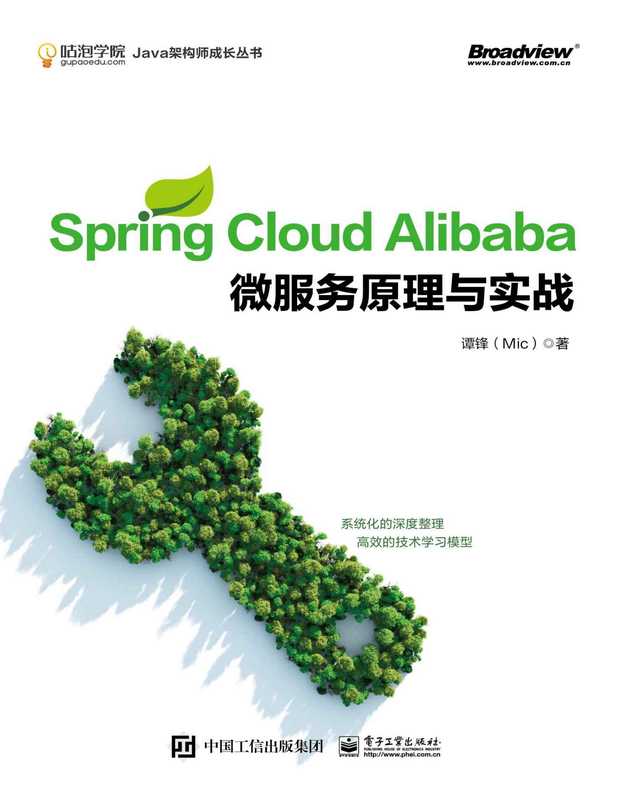 Spring Cloud Alibaba 微服务原理与实战（谭锋（Mic））（电子工业出版社 2020）