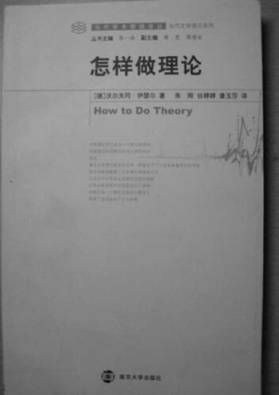 怎样做理论（沃尔夫冈&middot;伊瑟尔）（南京大学出版社 2007）