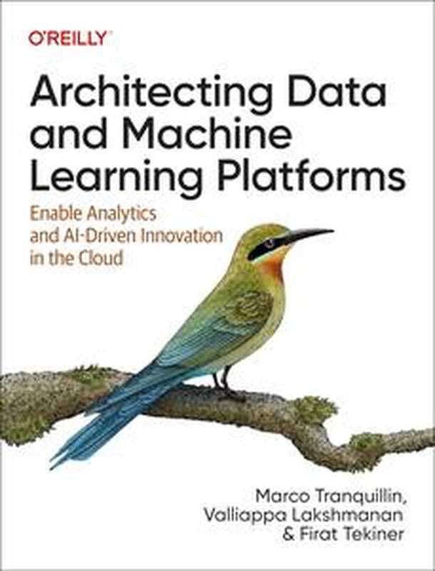 Architecting Data and Machine Learning Platforms： Enable Analytics and AI-Driven Innovation in the Cloud（Marco Tranquillin， Valliappa Lakshmanan， Firat Tekiner）（O&rsquo;Reilly Media 2023）