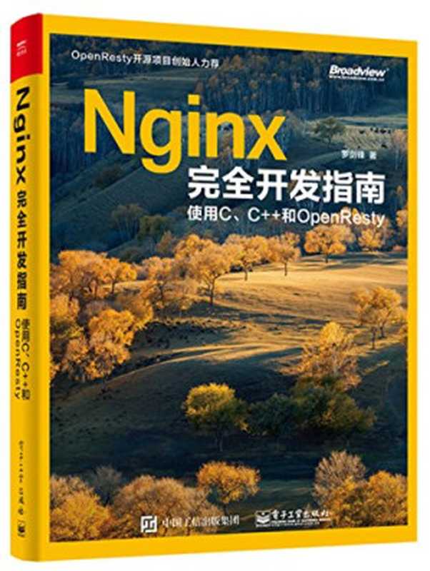 Nginx完全开发指南：使用C、C++和OpenResty（罗剑锋）（电子工业出版社 2017）