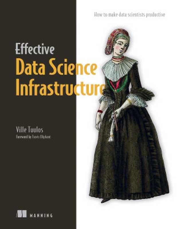 Effective Data Science Infrastructure： How to Make Data Scientists Productive（Ville Tuulos）（Manning Publications   Simon and Schuster 2022）