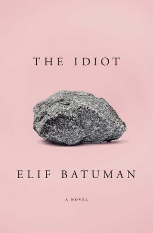 The Idiot（Elif Batuman）（Penguin Press 2017）