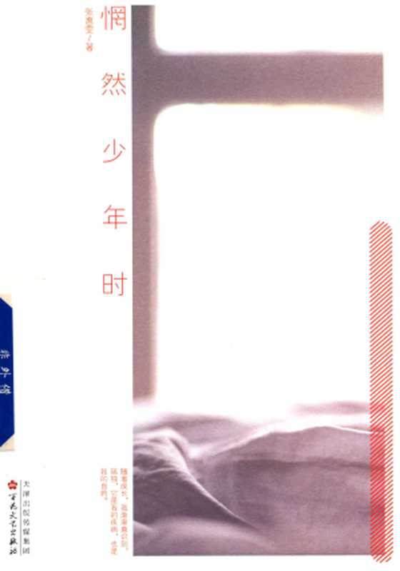 惘然少年时（[新]张惠雯）（百花文艺出版社 2017）