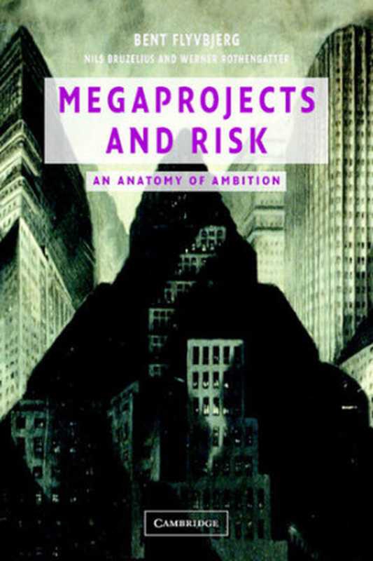 Megaprojects and Risk： An Anatomy of Ambition（Bent Flyvbjerg; Nils Bruzelius; Werner Rothengatter）（Cambridge University Press 2003）