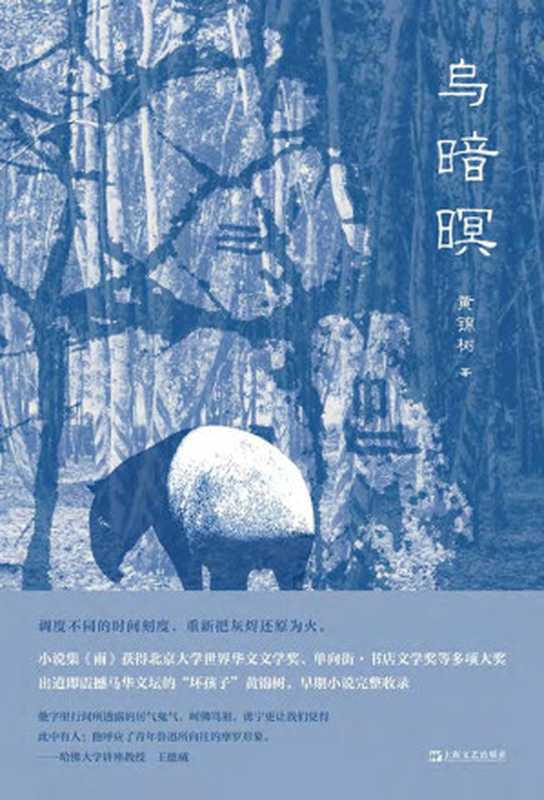 乌暗暝（[马来西亚] 黄锦树）（后浪   上海文艺出版社 2020）