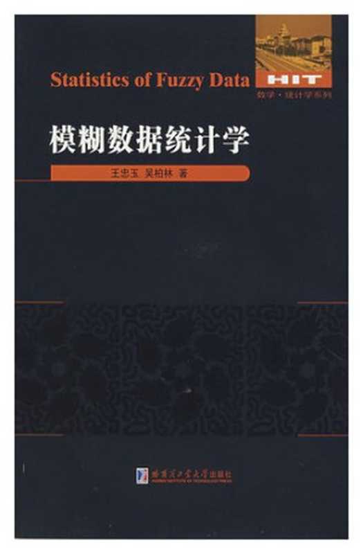 模糊数据统计学（王忠玉; 吴柏林）（哈尔滨工业大学出版社 2008）