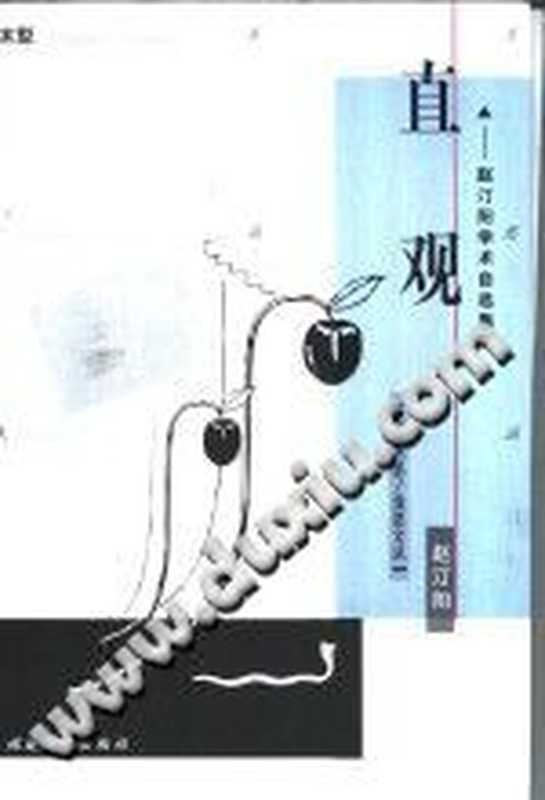 直观 赵汀阳学术自选集（赵汀阳）（福建教育出版社 2000）