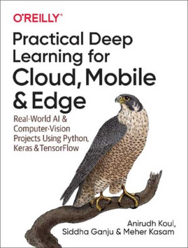 Practical Deep Learning for Cloud， Mobile， and Edge： Real-World AI & Computer-Vision Projects Using Python， Keras & TensorFlow（Anirudh Koul， Siddha Ganju， Meher Kasam）（O&rsquo;Reilly Media 2019）