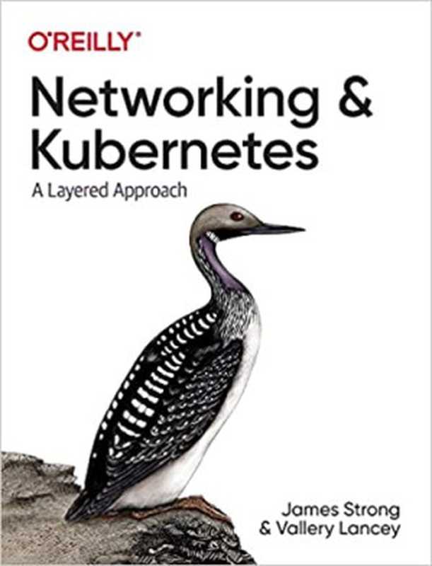 Networking and Kubernetes： A Layered Approach（James Strong， Vallery Lancey）（O&rsquo;Reilly Media 2021）