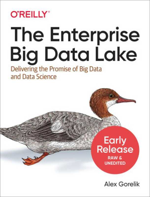 The Enterprise Big Data Lake： Delivering the Promise of Big Data and Data Science（Alex Gorelik）（O&rsquo;Reilly Media 2019）