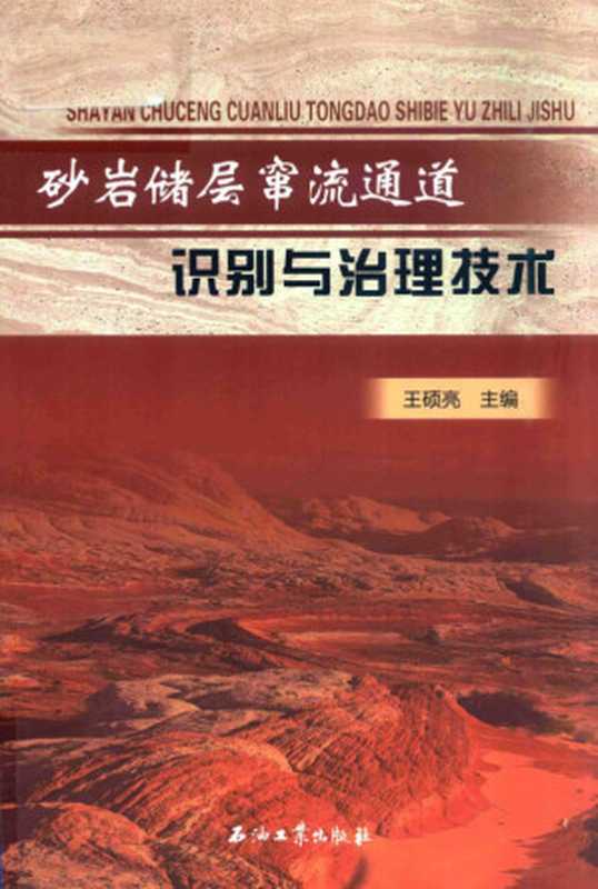 砂岩储层窜流通道识别与治理技术（王硕亮主编；付强，于春磊副主编， Shuoliang Wang， 王硕亮主编， 王硕亮）（北京：石油工业出版社 2016）
