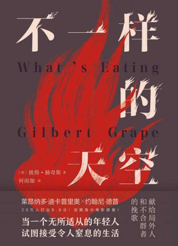 不一样的天空（【美】彼得&middot;赫奇斯）