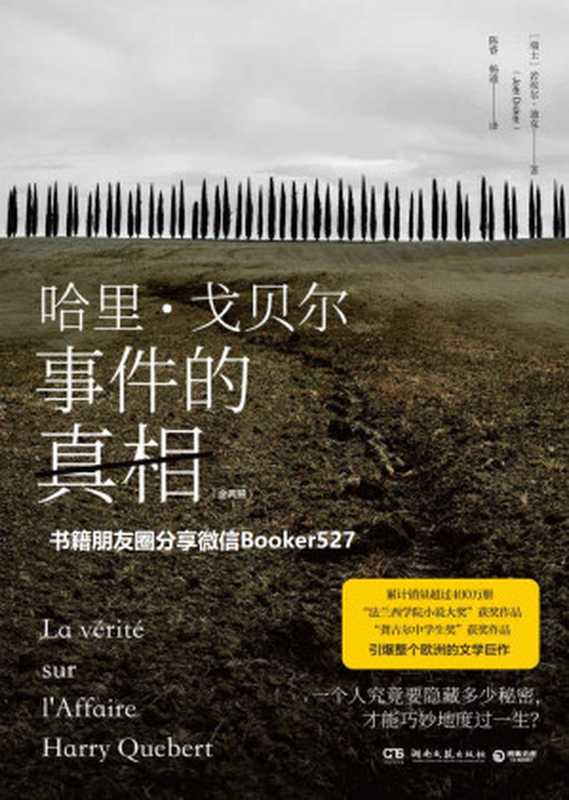 哈里&middot;戈贝尔事件的真相：全两册（在欧洲将丹&middot;布朗挤下畅销榜首的奇迹之书。一个人究竟要隐藏多少秘密，才能巧妙度过一生？一本书中书！ ）（若埃尔&middot;迪克 [若埃尔&middot;迪克]）（湖南文艺出版社 2019）