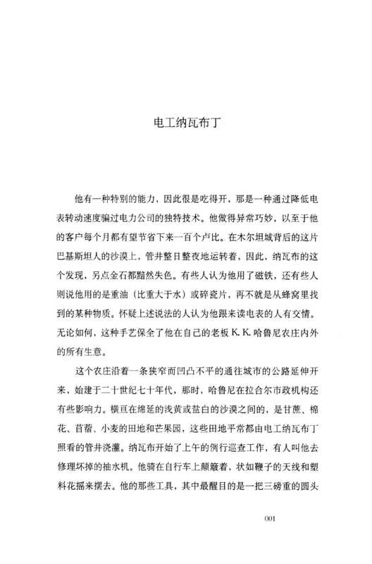 别人的房间，别样的景观（(巴基斯坦)达尼亚尔&middot;穆伊努丁）（上海文艺出版社）