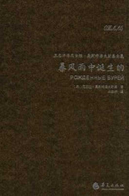 暴风雨中诞生的（[苏]尼古拉&middot;奥斯特洛夫斯基著；王志冲译）（北京：华夏出版社 2016）